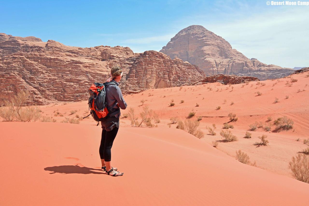 Desert Moon Camp Wadi Rum Eksteriør bilde
