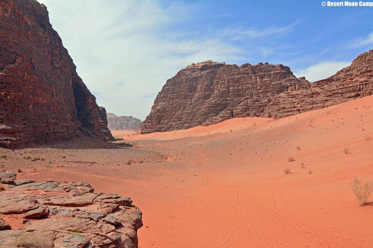 Desert Moon Camp Wadi Rum Eksteriør bilde